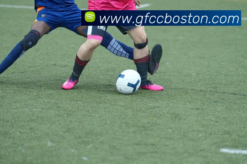 奖项证书